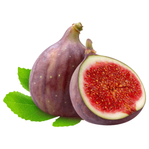 fig